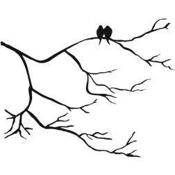 Birds on a branch