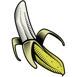 Banana vector image