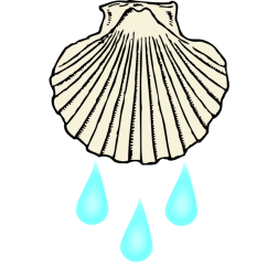 baptismshell