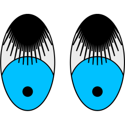 Bashful Eyes—Black Lashes