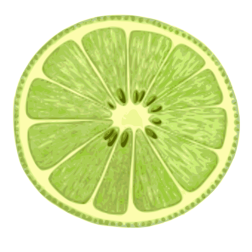 Bergamot orange slice