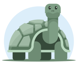 Cute Green Turtle Illustration