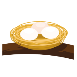 Nest with eggs
