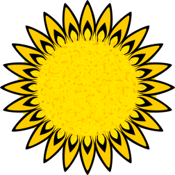 Yellow sunflower