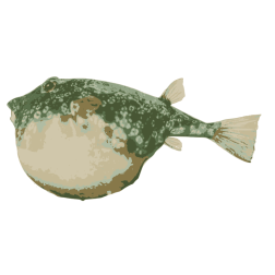 Blowfish
