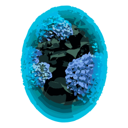 Hydrangea in a blue circle