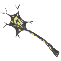 Neuron
