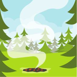 Bonfire in the forest