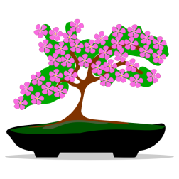 Bonsai tree-1625695978