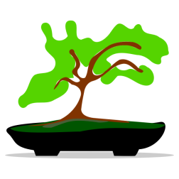 bonsai 02
