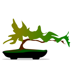 Bonsai tree-1625779100