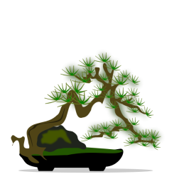 Bonsai