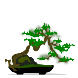Bonsai