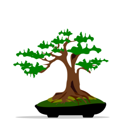 Bonsai