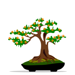 Bonsai