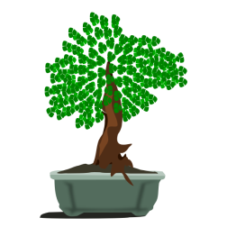 Bonsai tree-1625266393