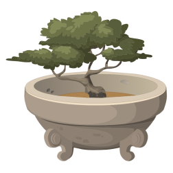 Bonsai in a pot
