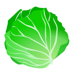 cabbage