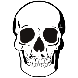 Black & white skull