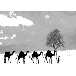 Camel caravan silhouette