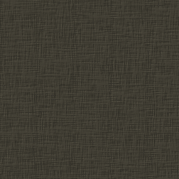 canvas4