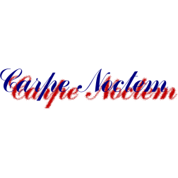 Carpe Noctem inscription