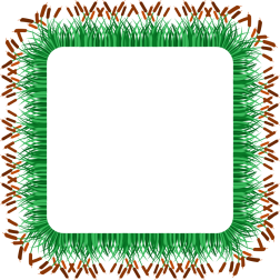 Square Grass Frame