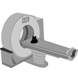 CAT scan