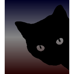 Black cat-1636756315