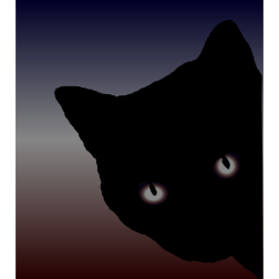 Black cat stare
