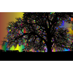 Tree silhouette in rainbow sky