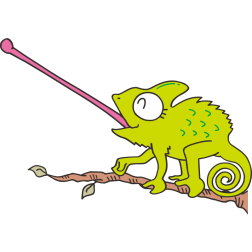 Chameleon-1637701565