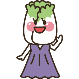 Chinese Napa Cabbage Head
