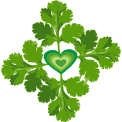 Cilantro heart