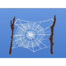 colourspiderweb