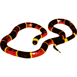 coralillo