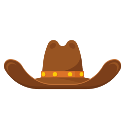 Brown cowboy hat