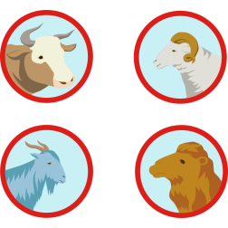 Domestic animals-1646347389