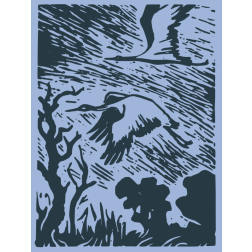 Cranes in flight