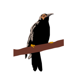 Crow on a tree branch