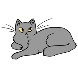Cute cat