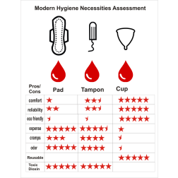 Modern Hygiene Necessities Assessment