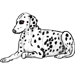 laying dalmatian