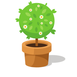 Cure green plant