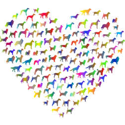 Dog breeds