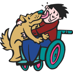 Dog with boy in wheelchair