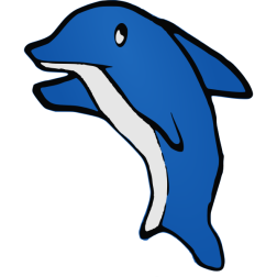 Dolphin vector image