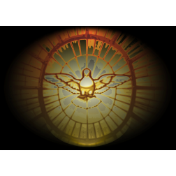 Sun bird mosaic