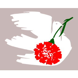 Dove with carnation
