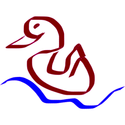 duck2